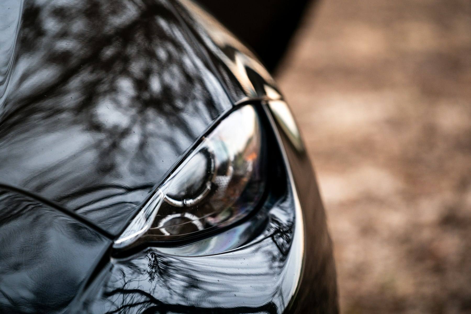Headlight reflecting trees in mirror-finish paint